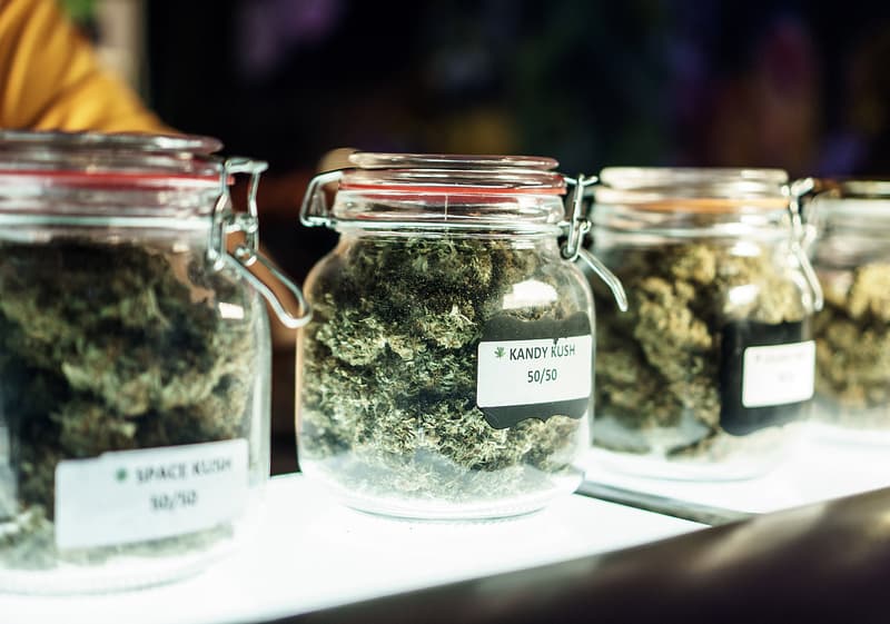 Cannabis Case Study