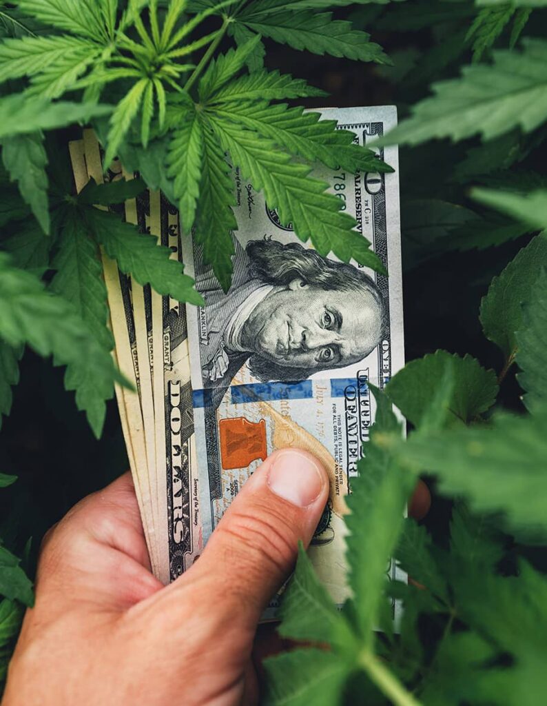 Cannabis Profit